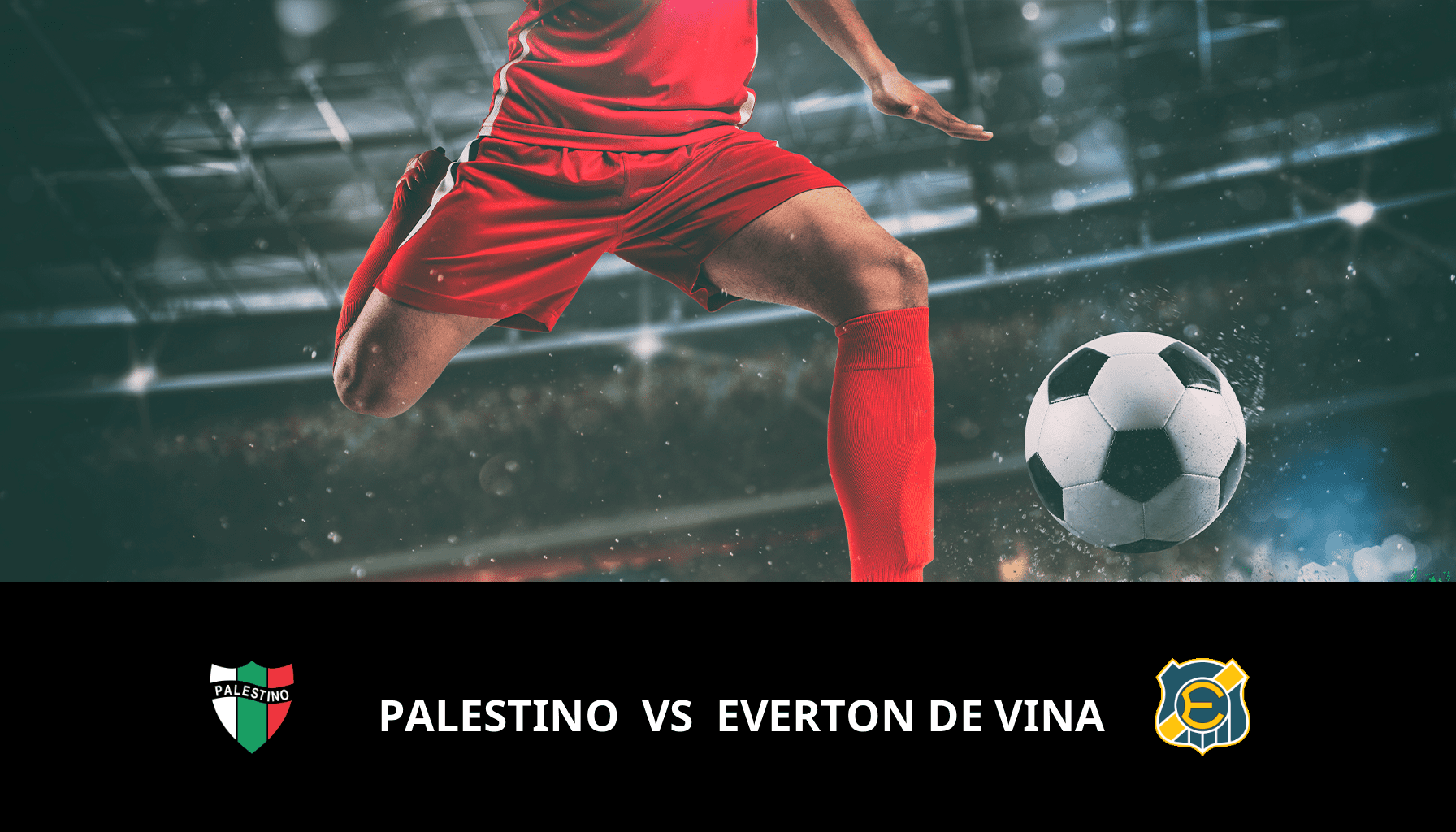 Prediction for Palestino VS Everton de Vina on 23/11/2023 Analysis of the match